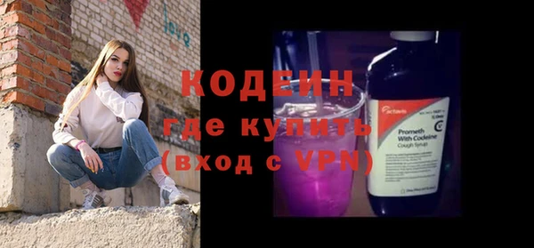 индика Нея
