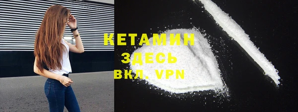 индика Нея