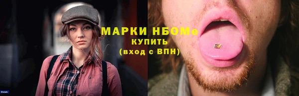 индика Нея