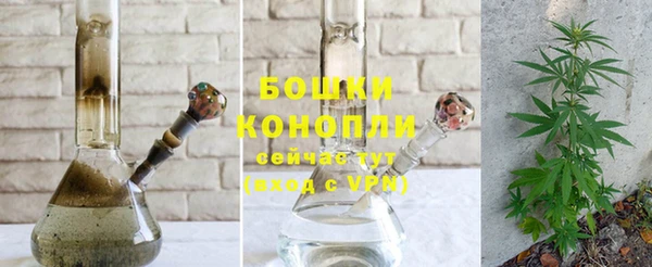 индика Нея