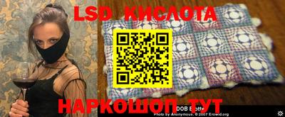 спайс Берёзовский