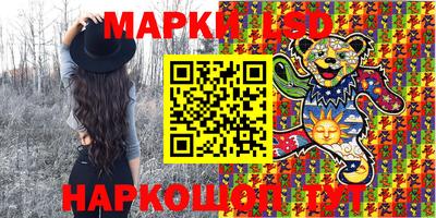 индика Гусь-Хрустальный