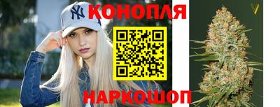 спиды Гусев