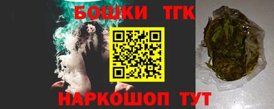 индика Гусь-Хрустальный