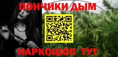 индика Гусь-Хрустальный