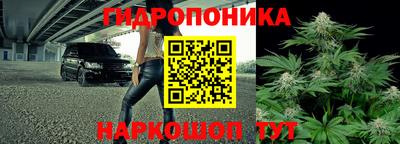 индика Гусь-Хрустальный