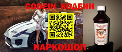 индика Гусь-Хрустальный