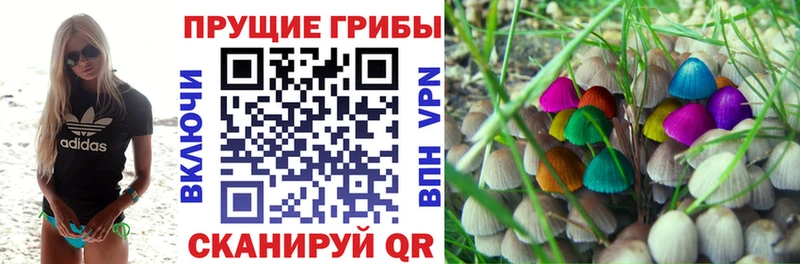 купить  цена  Чусовой  Галлюциногенные грибы ЛСД 