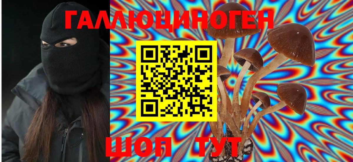 Псилоцибиновые грибы MAGIC MUSHROOMS  Вход с VPN  Чусовой 