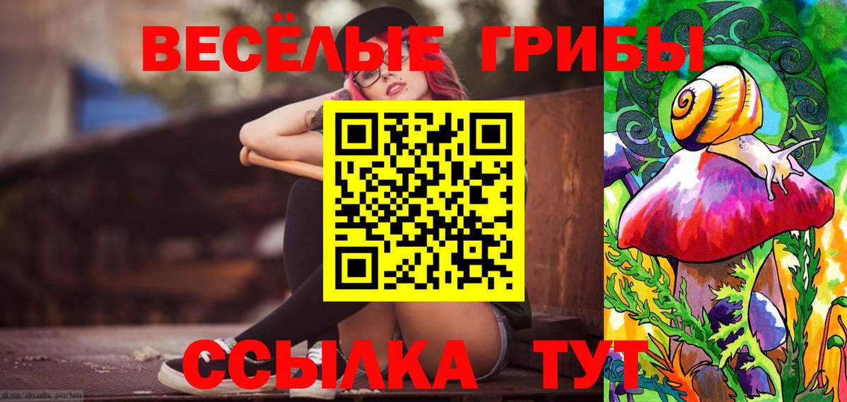 Галлюциногенные грибы Psilocybine cubensis Чусовой