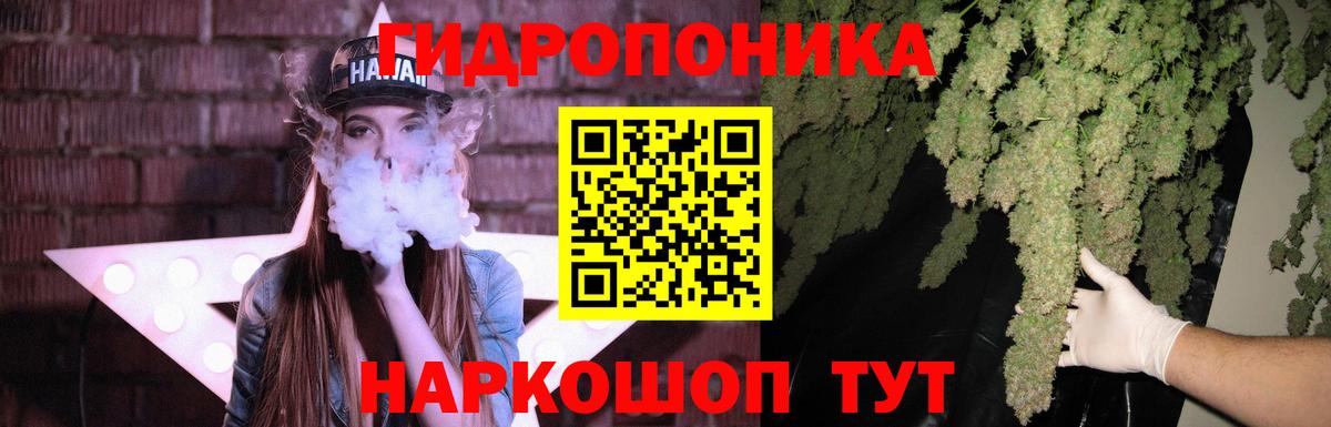 Каннабис конопля  Каннабис гибрид  Чусовой  Вход с VPN  Марихуана THC 21%  Каннабис семена 